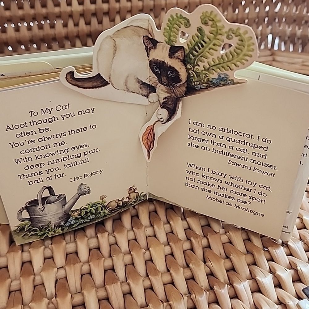 Two Mini Cat Books - Picture 4 of 12